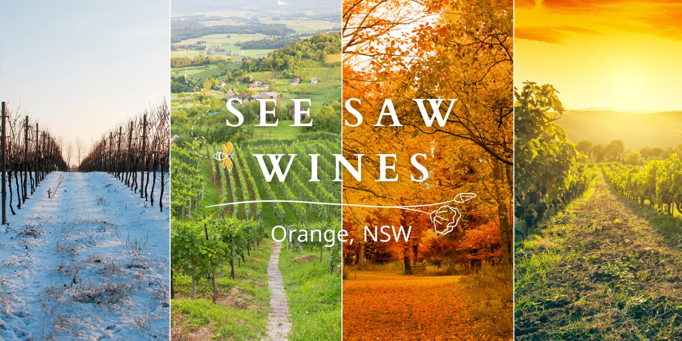 Seesaw wines orange, Prosecco, Rose and Sauvignon Blanc, Best Organic Wine in NSW! Sustainable, Australian & Delicious! Seasons