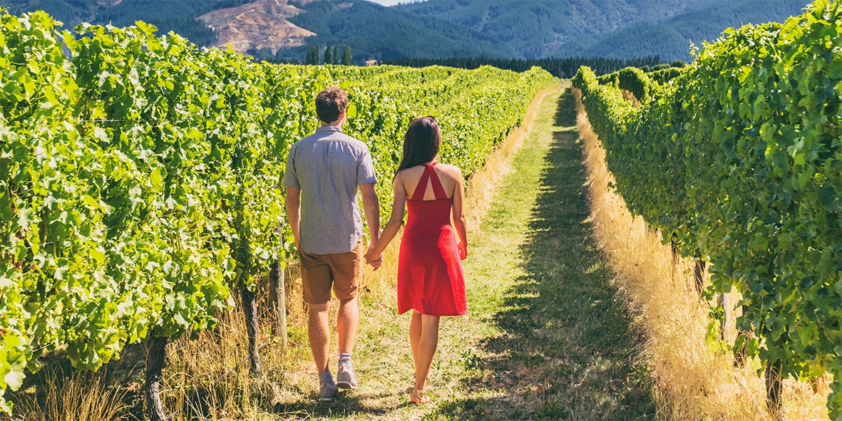 Mount Fishtail Winery, Pinot Gris, Sauvignon Blanc, Marlborough, New Zealand NZ